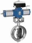 BUTTERFLY VALVE